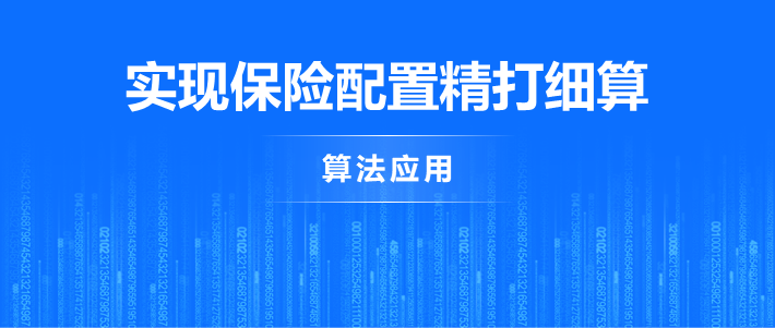 保险配置奥秘多，算法实现精打细算